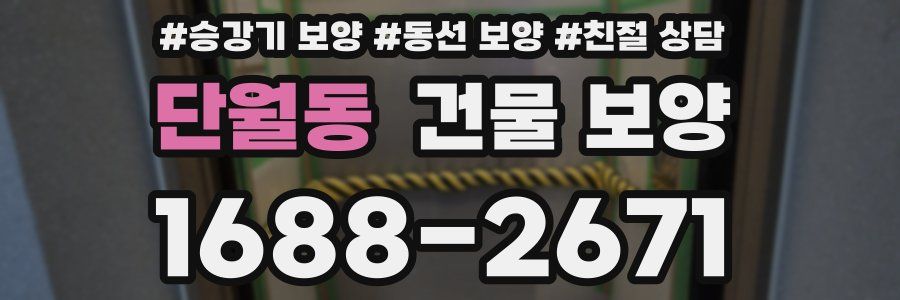 단월동 건물 보양
