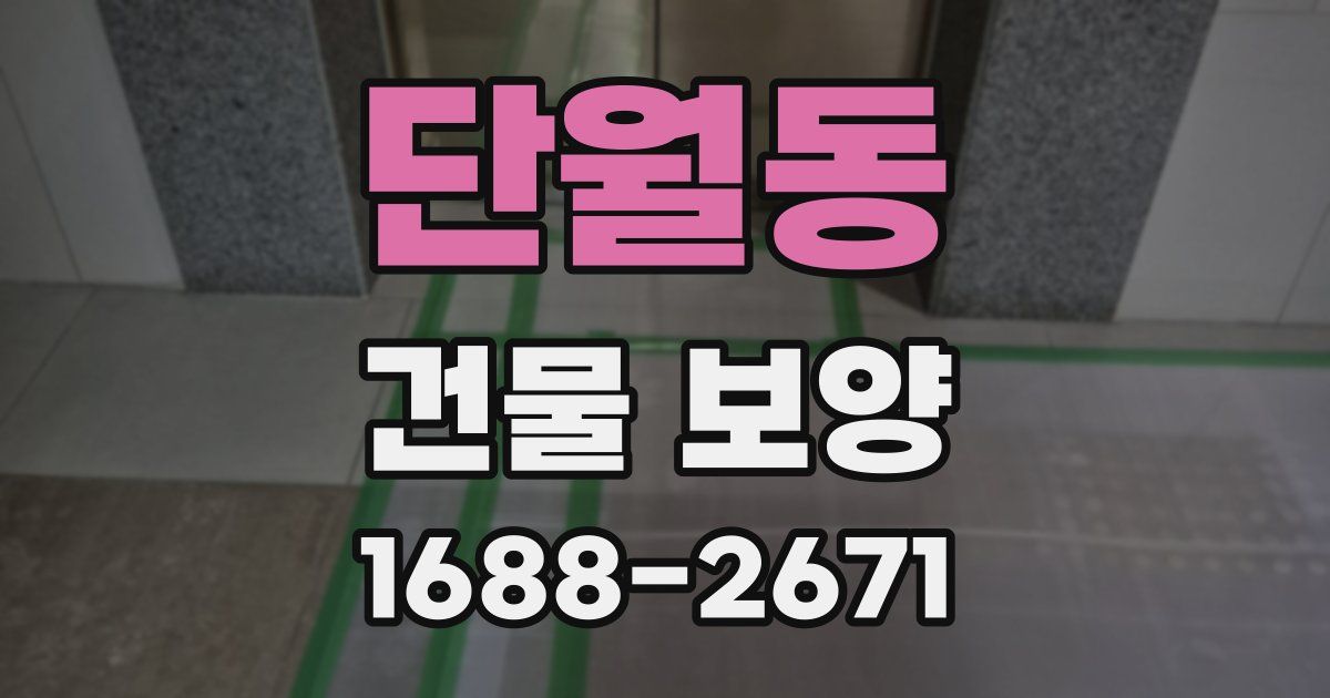 단월동 건물 보양