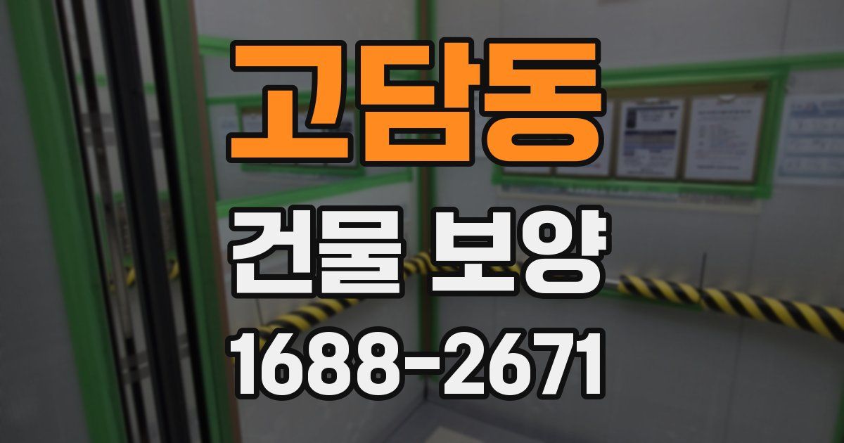 고담동 건물 보양