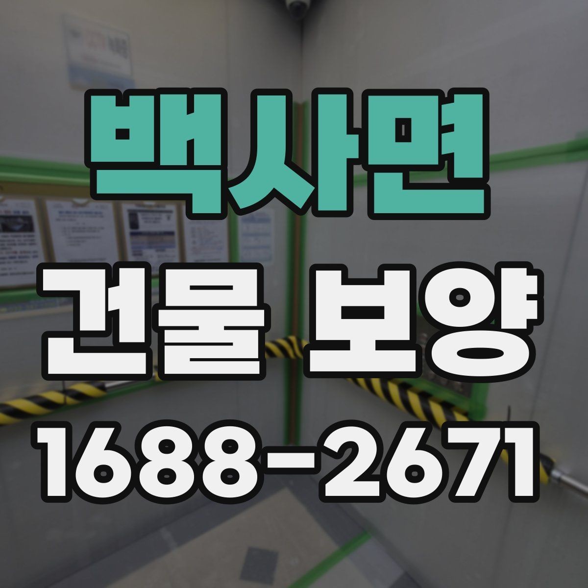 백사면 건물 보양 자재와 시공 방식 비교하기
