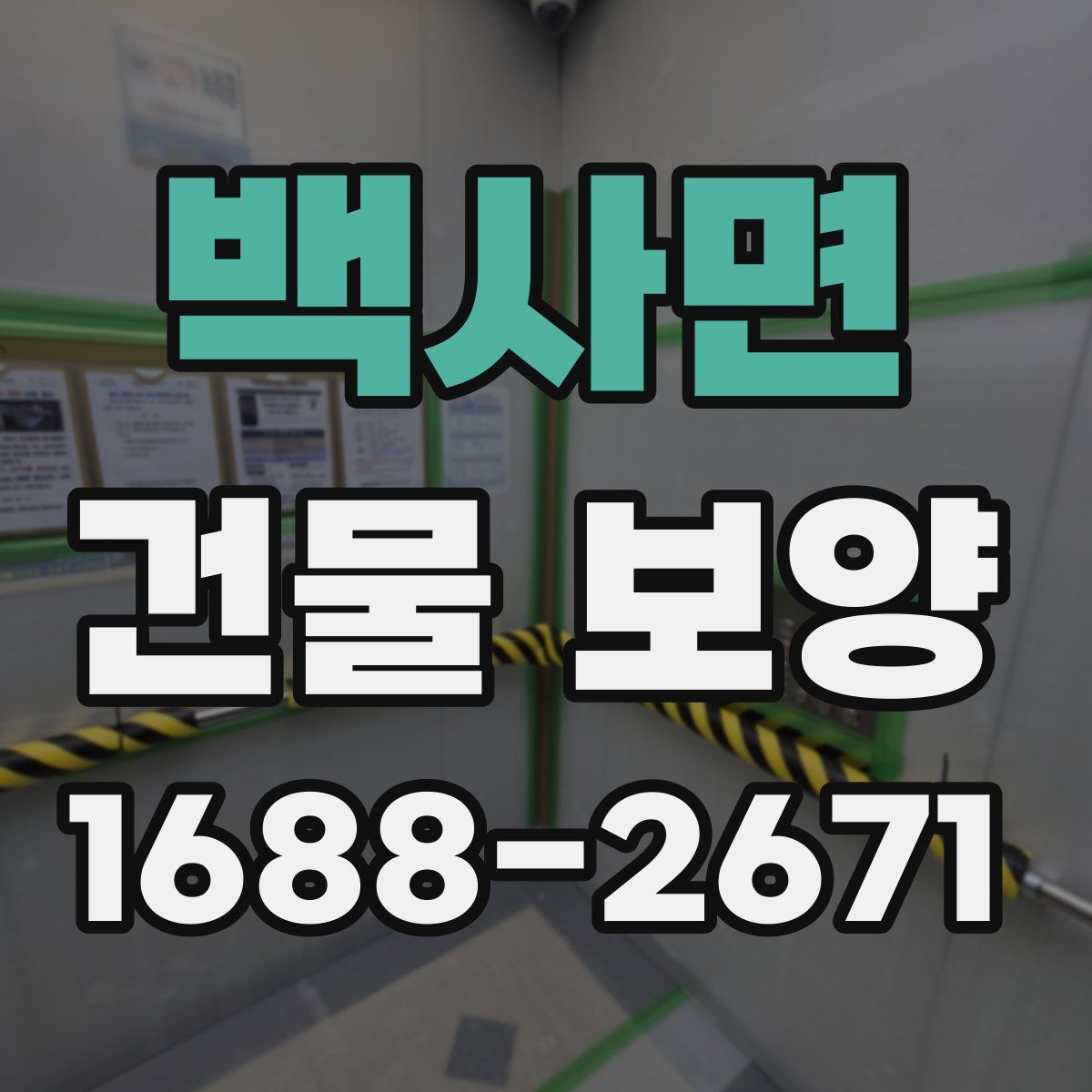 백사면 건물 보양
