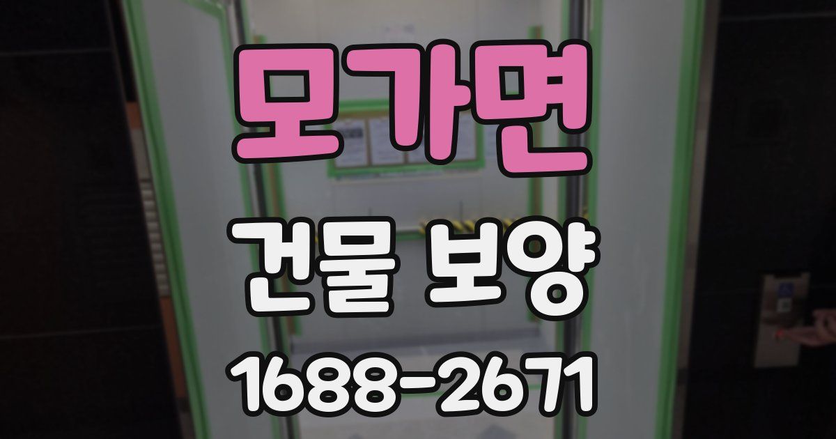 모가면 건물 보양