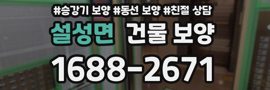 설성면 건물 보양