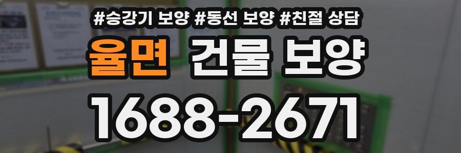 율면 건물 보양