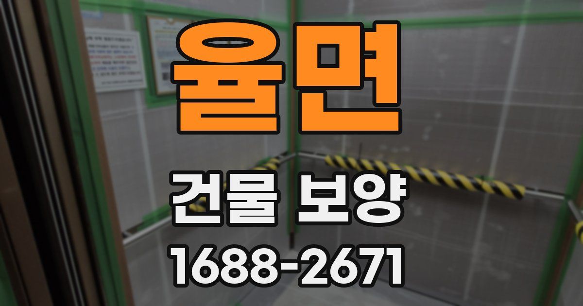 율면 건물 보양