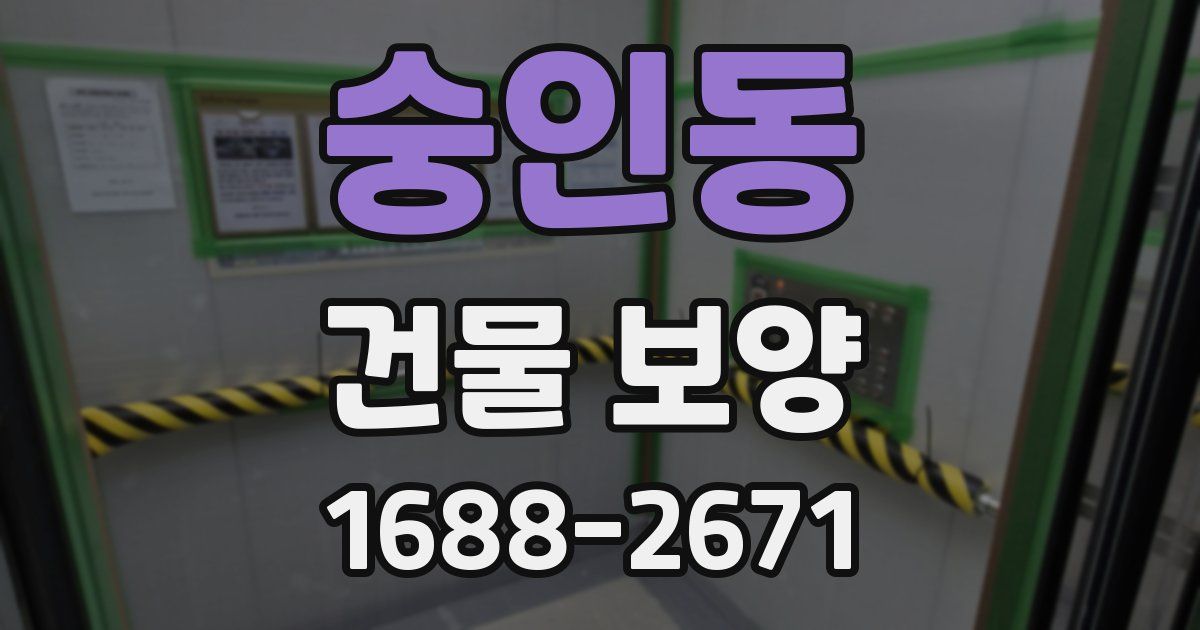 숭인동 건물 보양