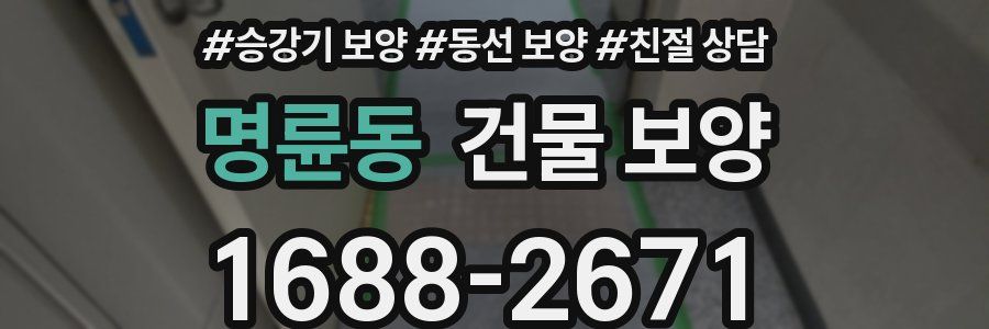 명륜동 건물 보양