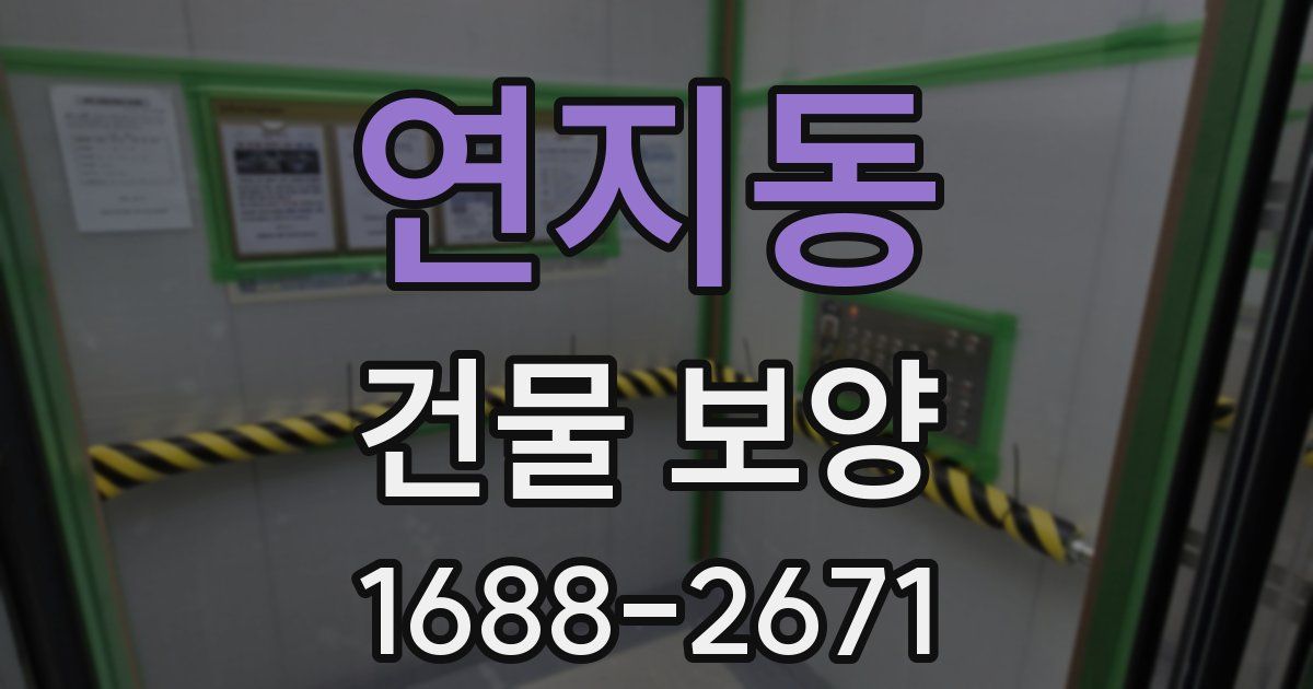 연지동 건물 보양