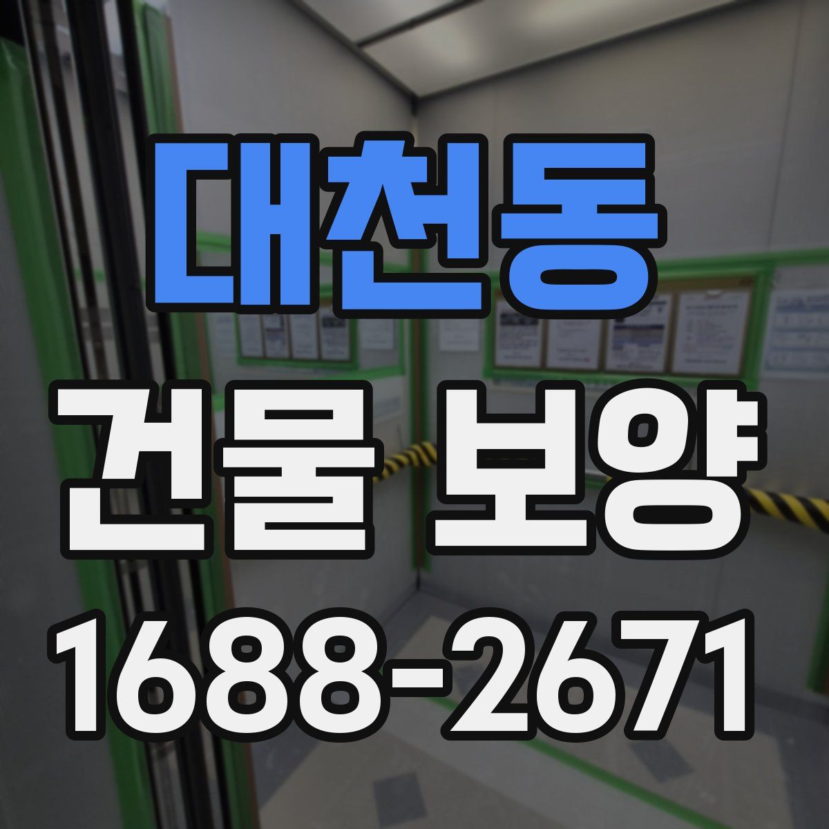대천동 건물 보양