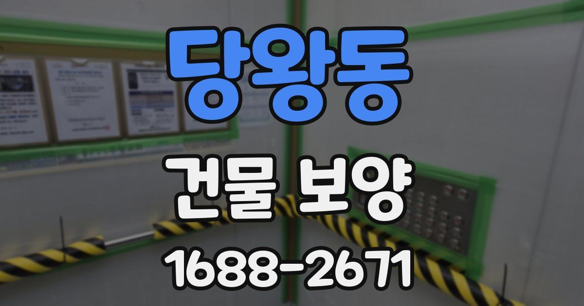 당왕동 건물 보양