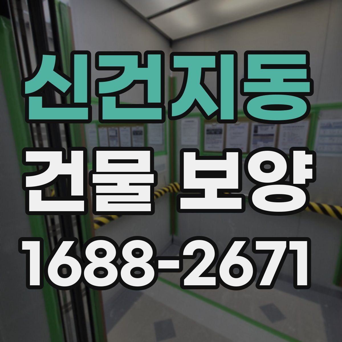 신건지동 건물 보양