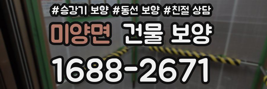 미양면 건물 보양
