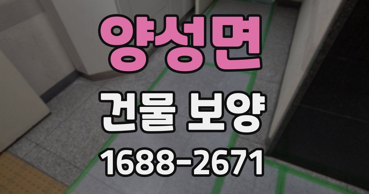 양성면 건물 보양