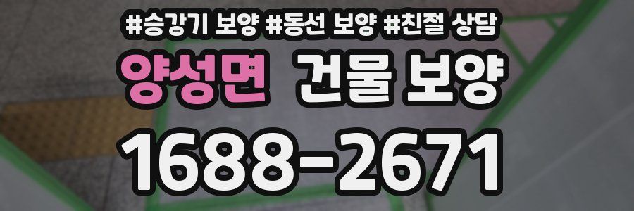 양성면 건물 보양