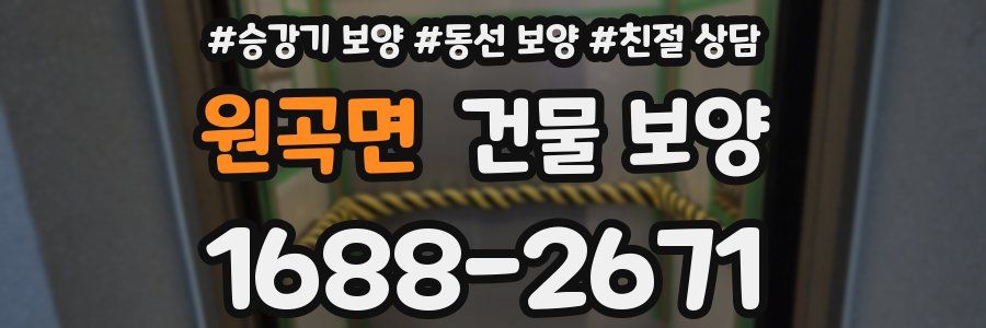 원곡면 건물 보양