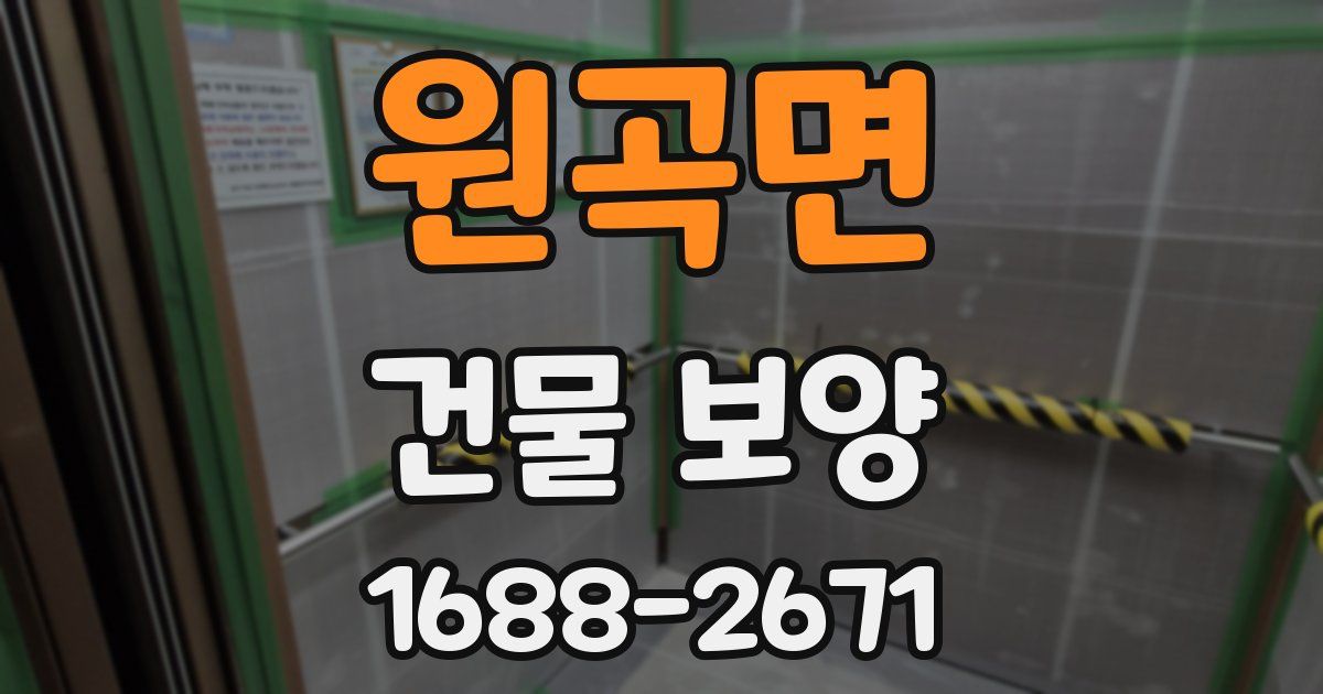 원곡면 건물 보양