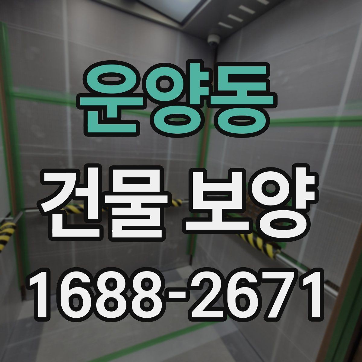 운양동 건물 보양 적용 범위와 사례 살펴보기