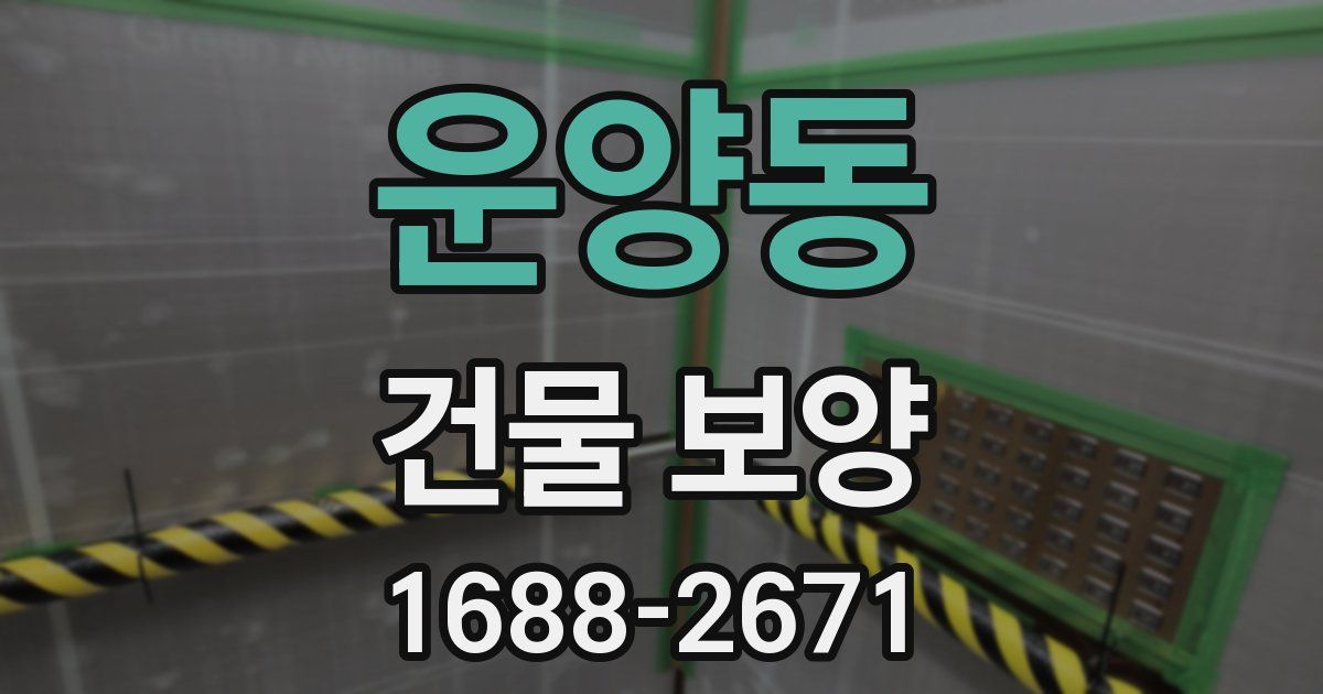 운양동 건물 보양