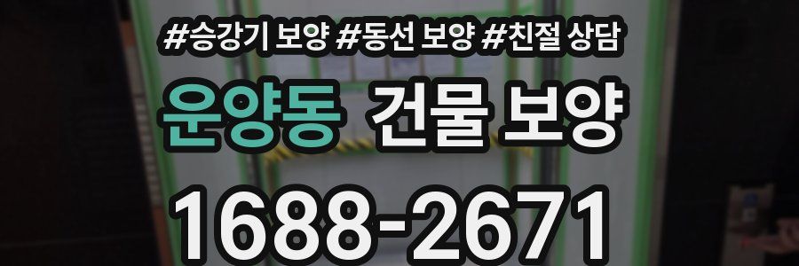 운양동 건물 보양
