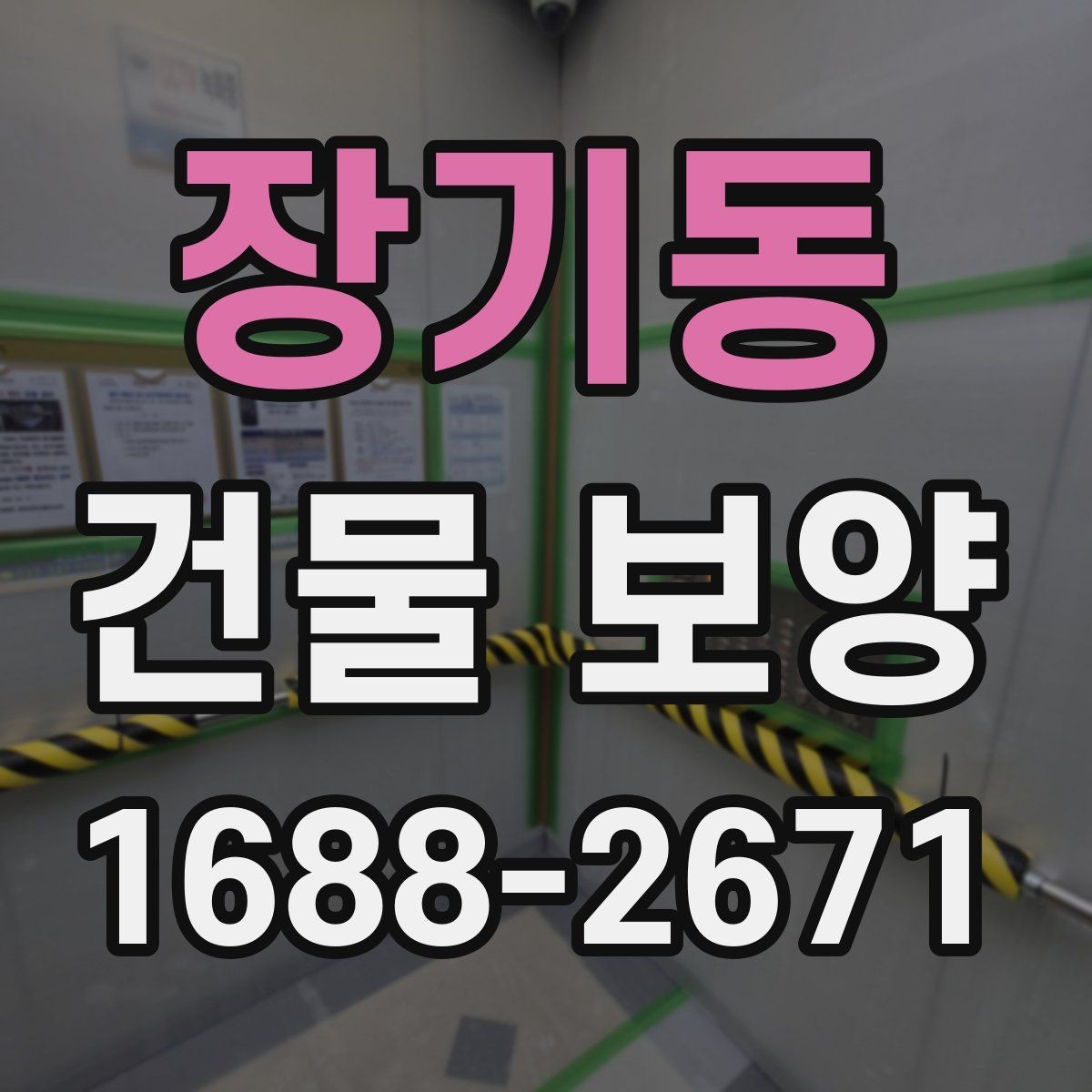 장기동 건물 보양 자재와 보호 방식의 차이