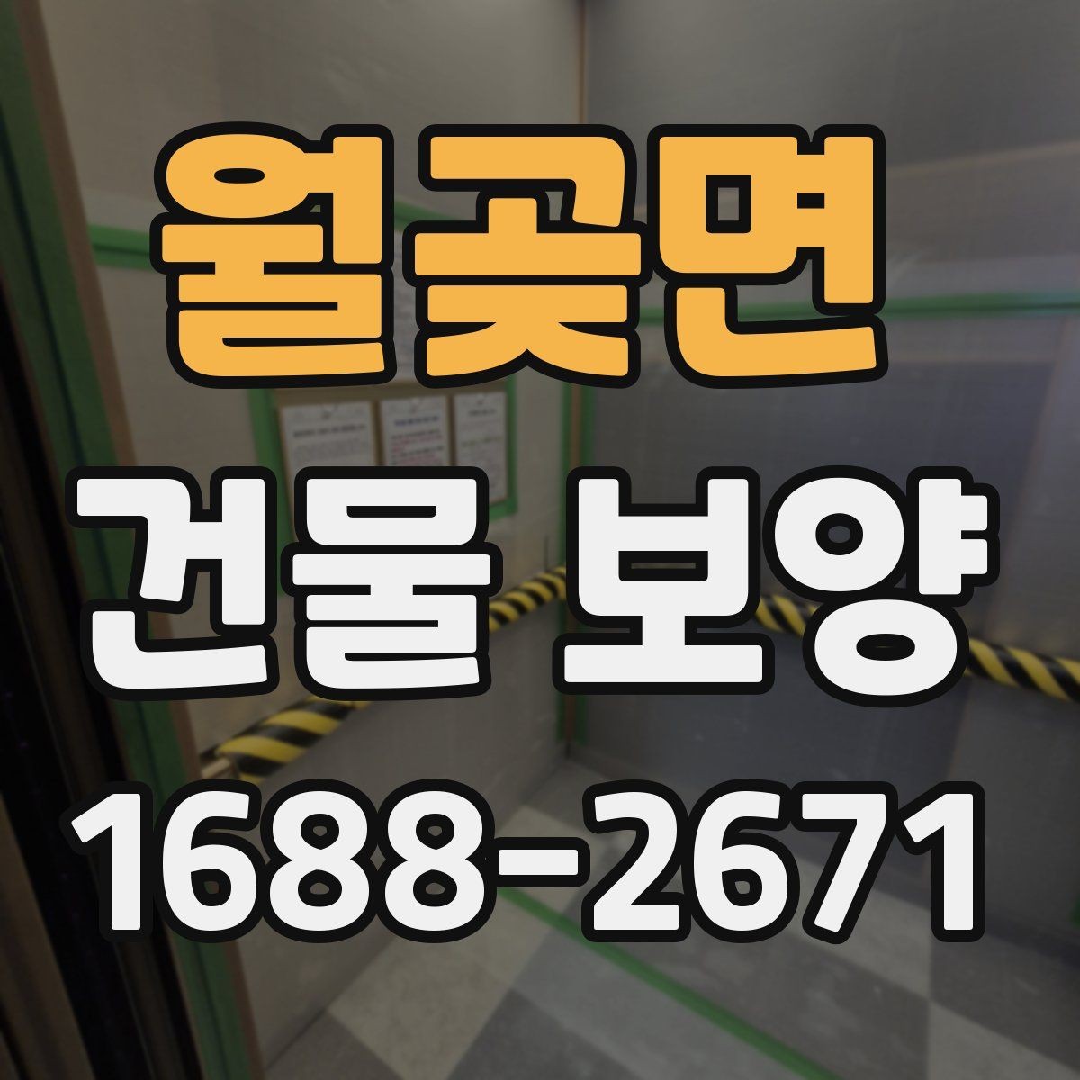 월곶면 건물 보양 범위를 넓힐 때 생기는 변수