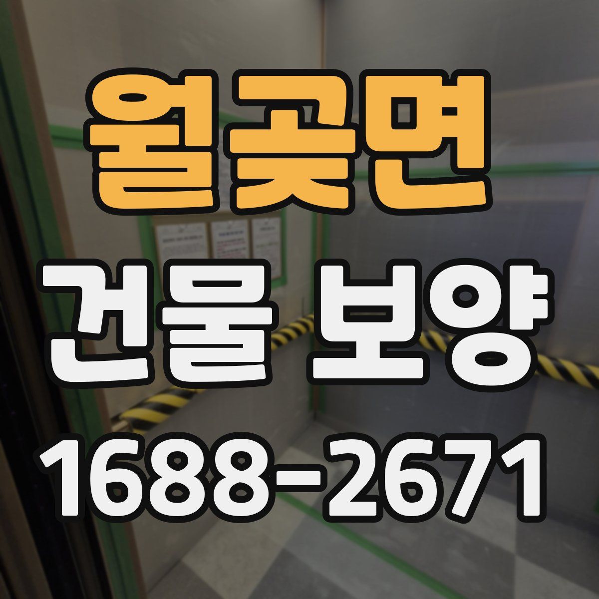 월곶면 건물 보양