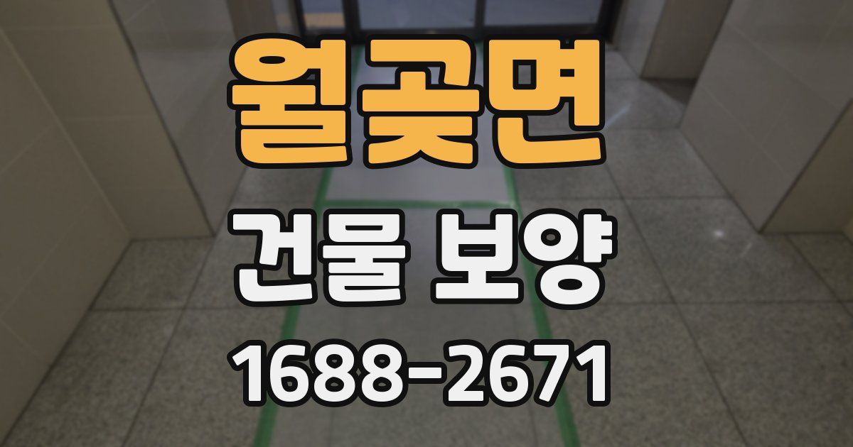 월곶면 건물 보양
