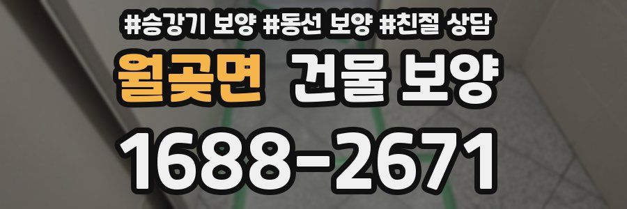 월곶면 건물 보양