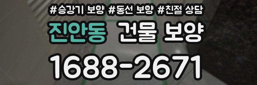 진안동 건물 보양