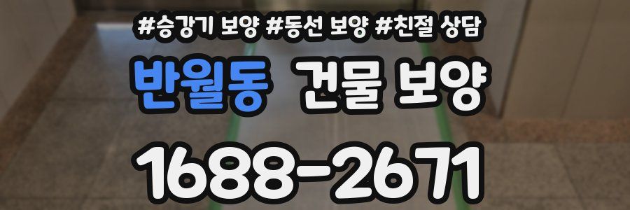 반월동 건물 보양