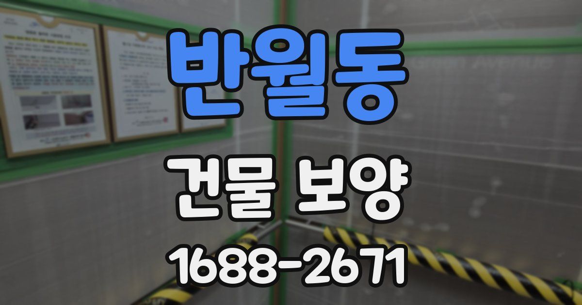 반월동 건물 보양