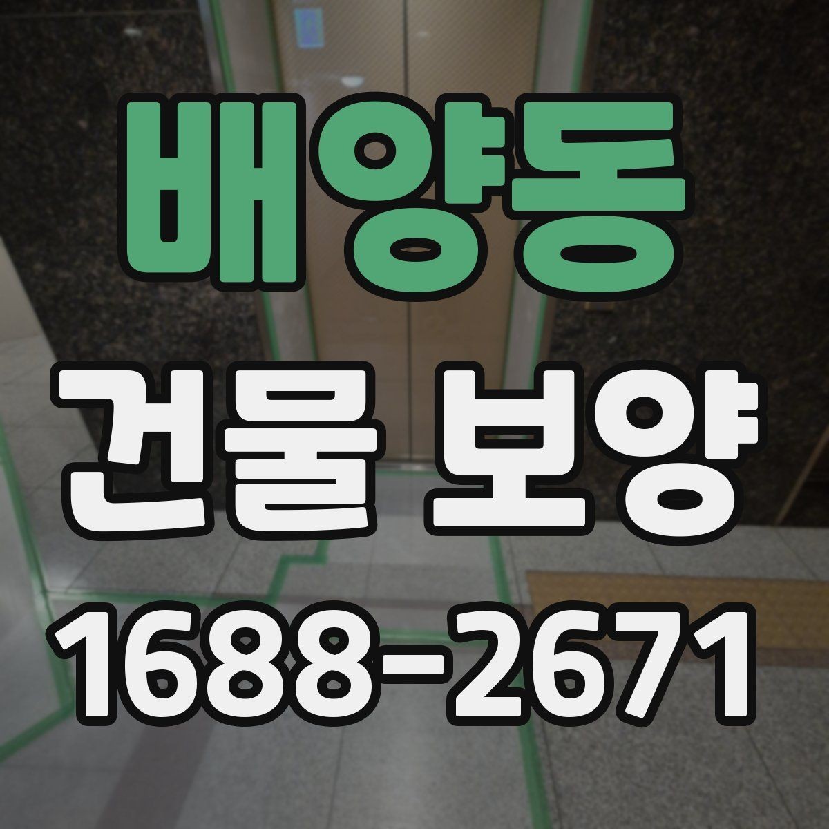 배양동 건물 보양 작업에서 자주 발생하는 문제