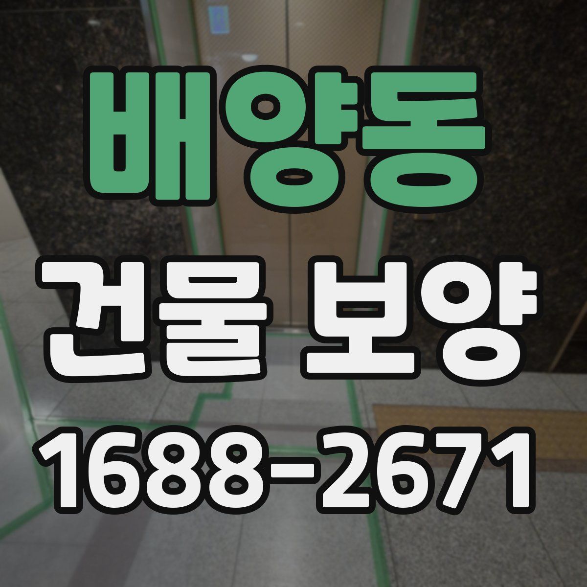 배양동 건물 보양