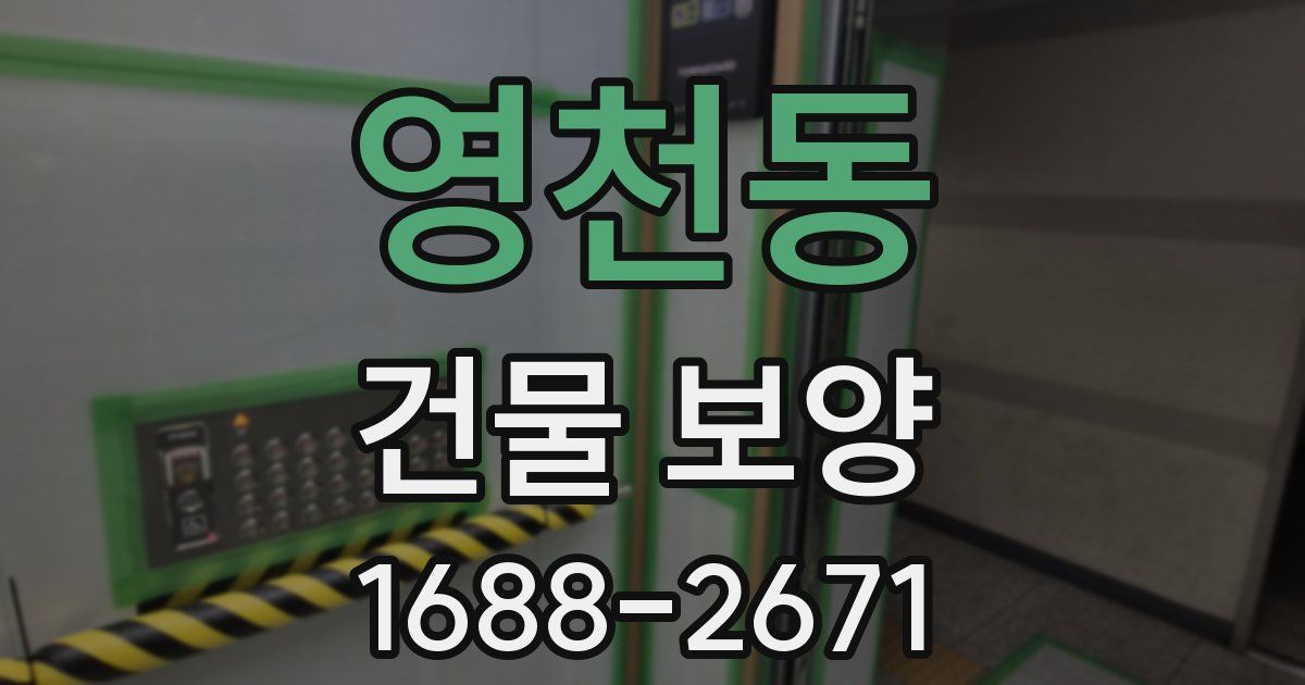 영천동 건물 보양