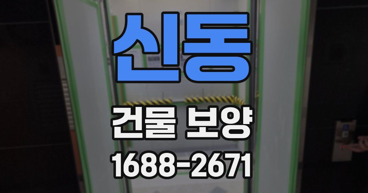 신동 건물 보양