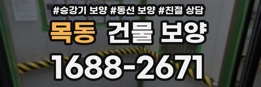 목동 건물 보양