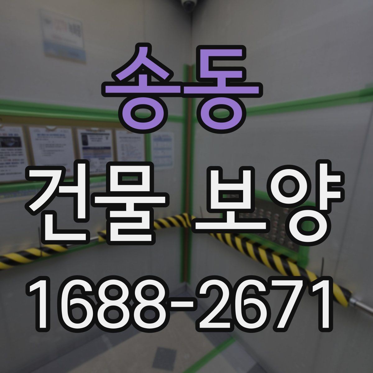 송동 건물 보양 작업의 핵심 포인트 정리