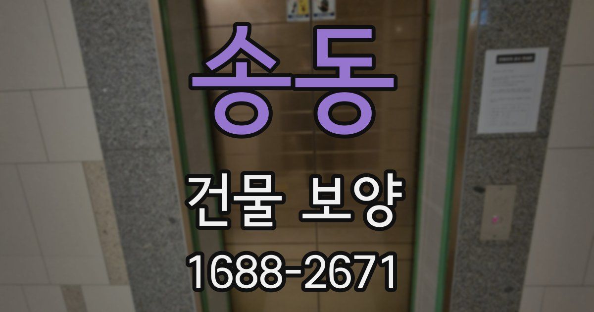 송동 건물 보양