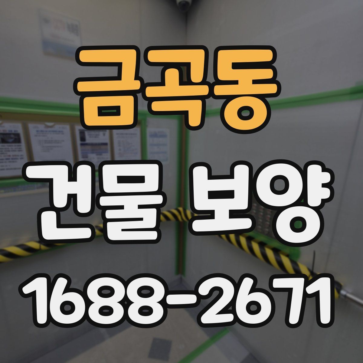 금곡동 건물 보양 계획 시 우선순위 정하는 법