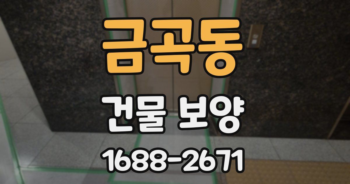 금곡동 건물 보양