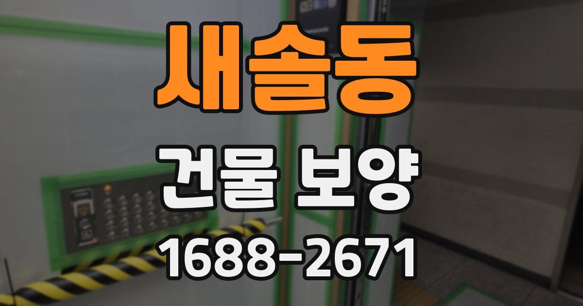 새솔동 건물 보양