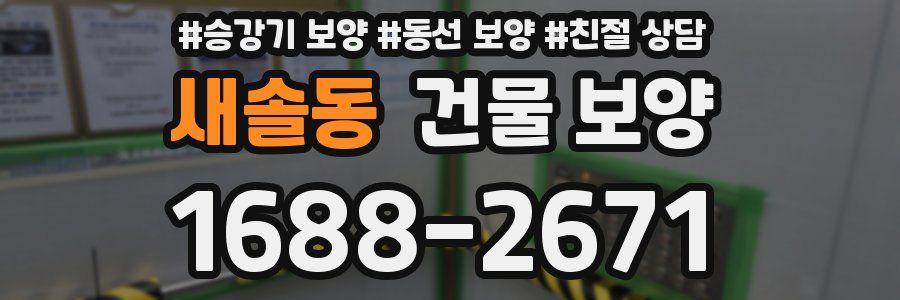 새솔동 건물 보양