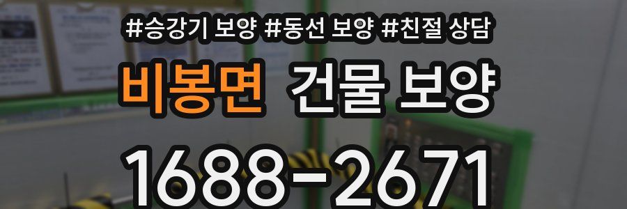 비봉면 건물 보양