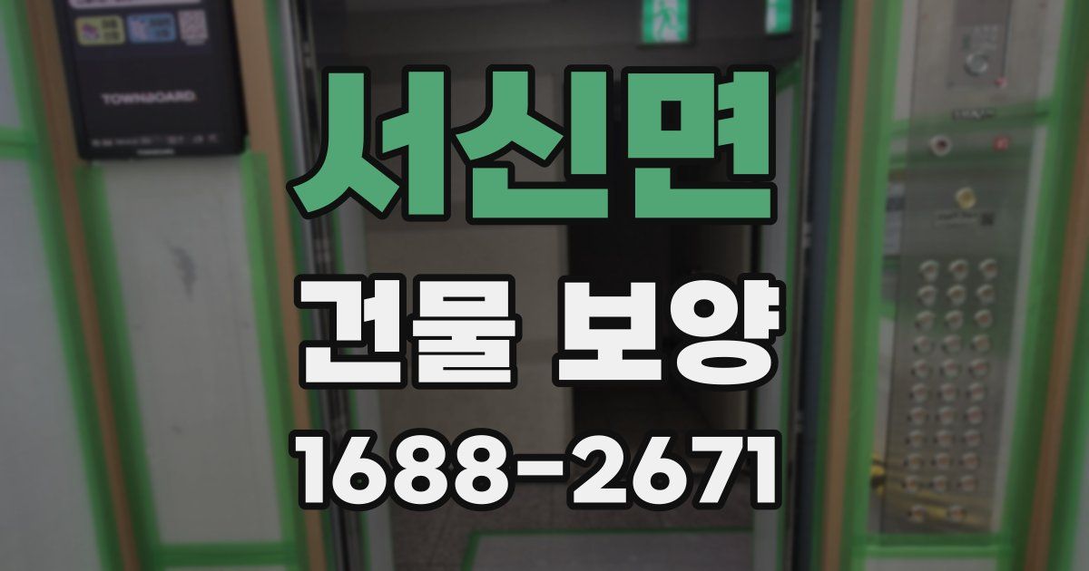 서신면 건물 보양