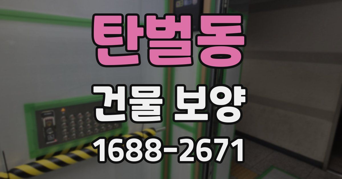탄벌동 건물 보양