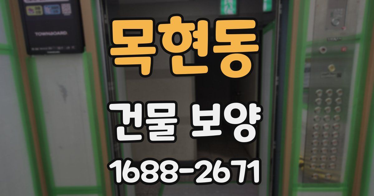 목현동 건물 보양