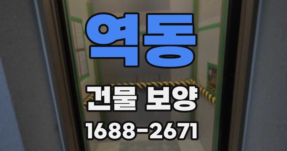 역동 건물 보양
