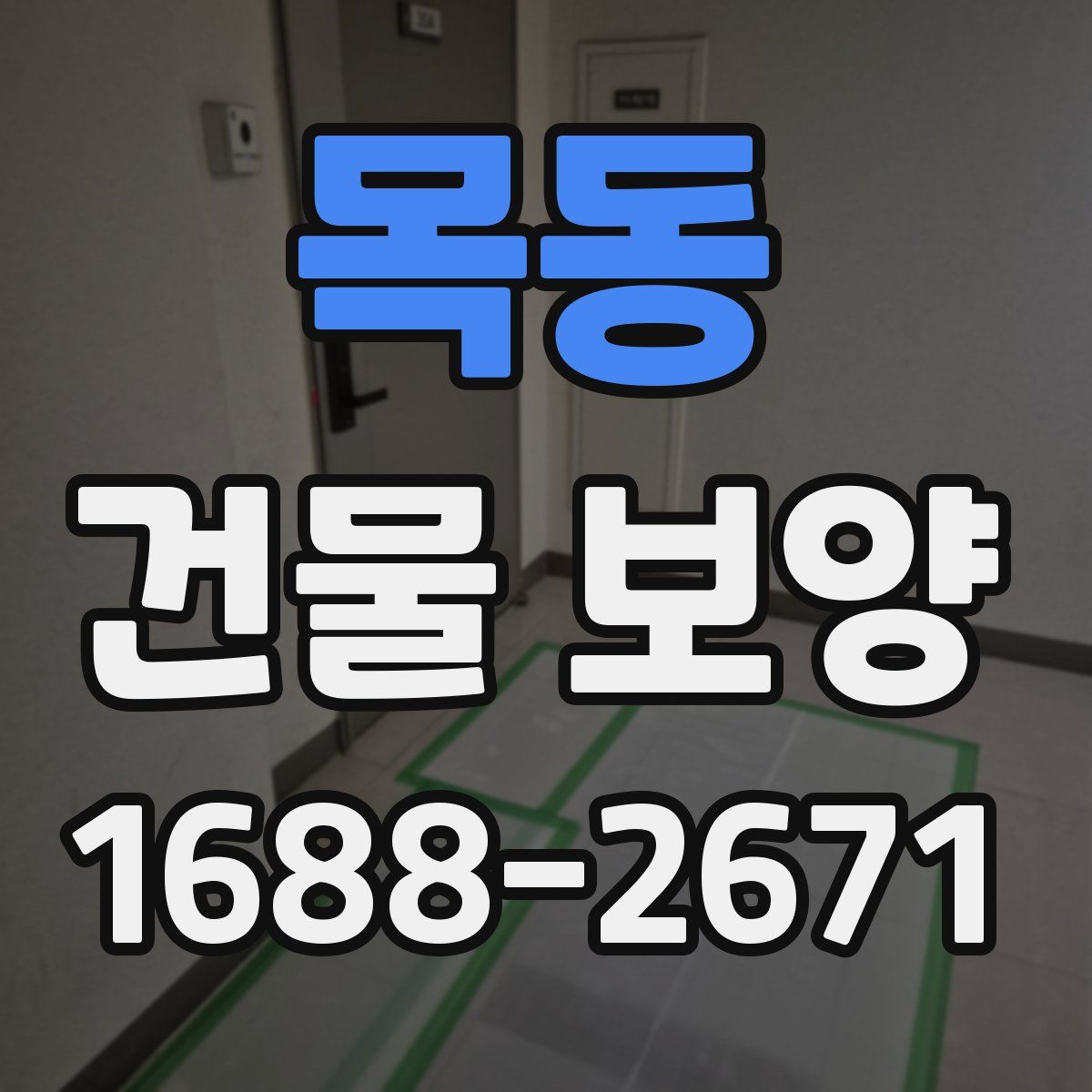 목동 건물 보양