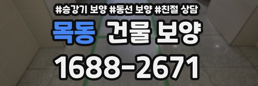목동 건물 보양