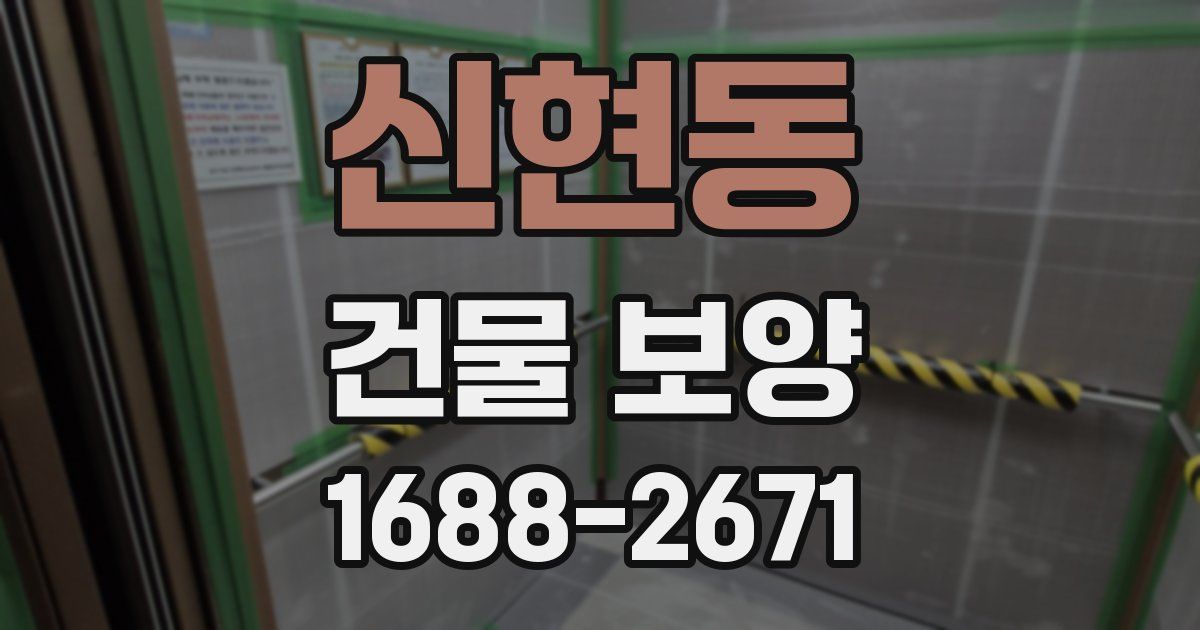 신현동 건물 보양